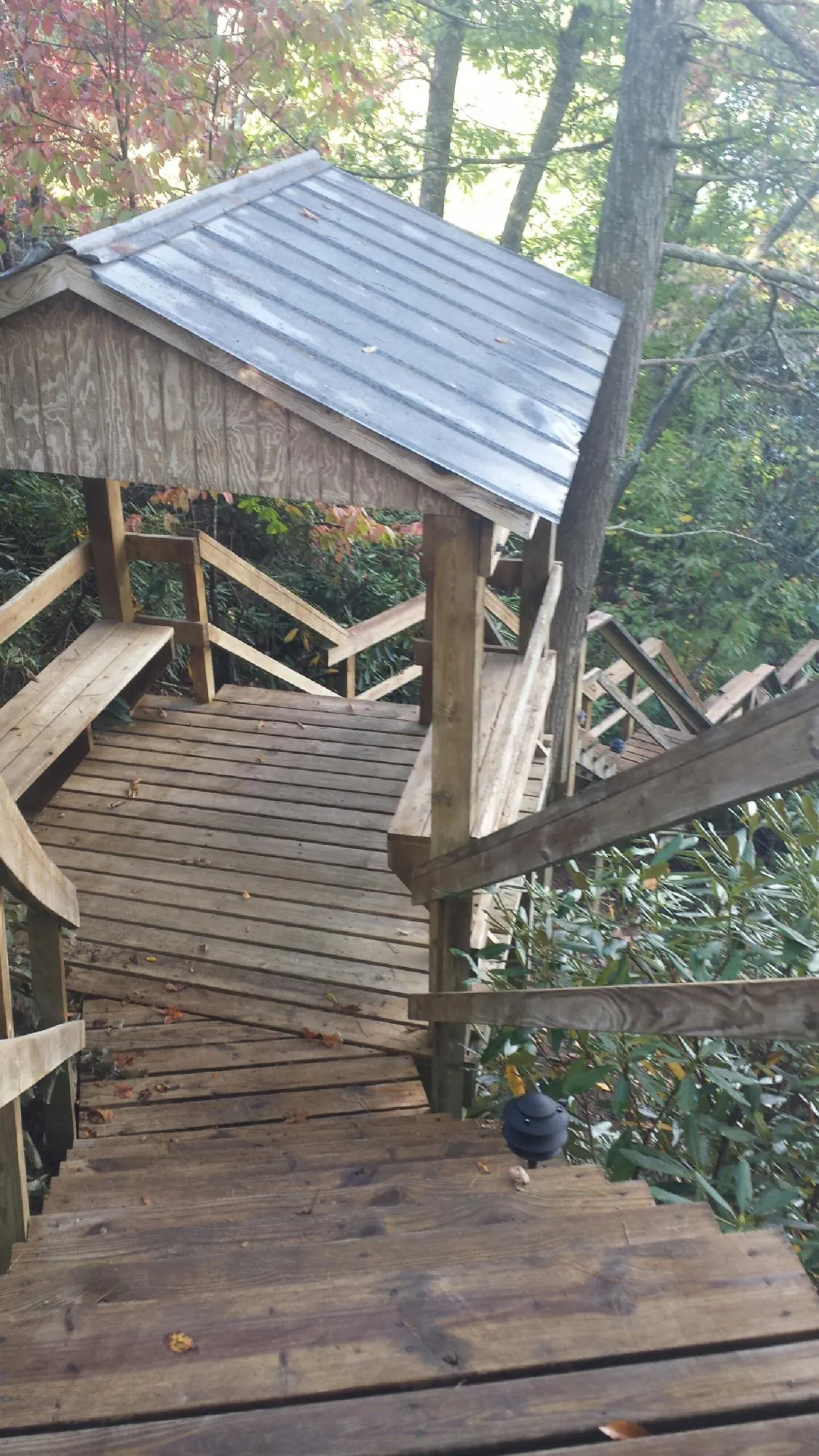 Metal roofed shelter over wooden steps on a wooded walkway — Skylight Repair & Installation work by our crew in Plum Branch